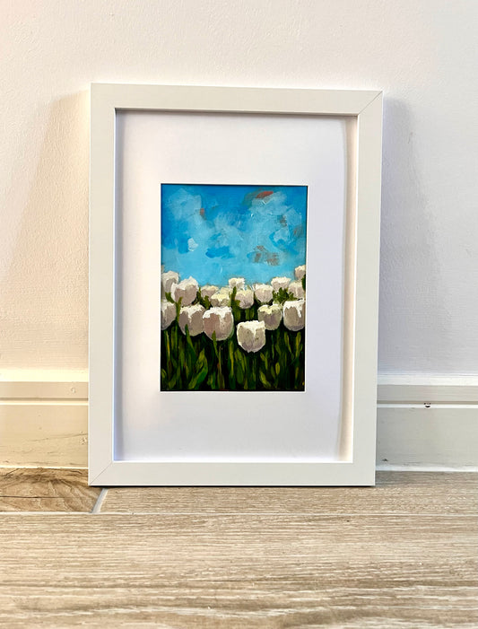 Field of white tulips (original)